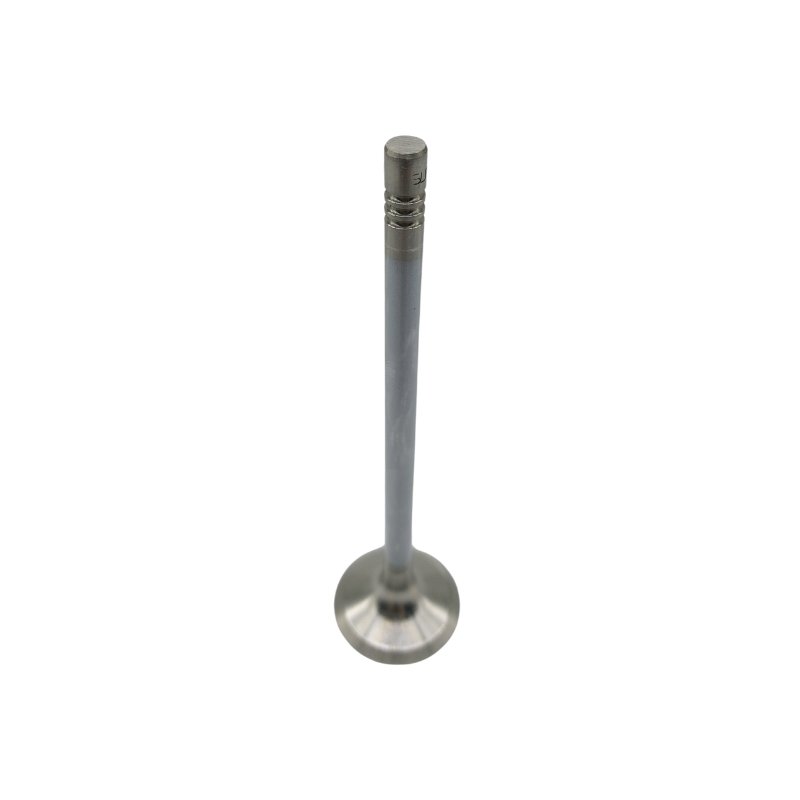 Imagem 1 do produto VALVULA DE ESCAPE VOLVO PENTA KAD42 TAMD41 AD41 861699 