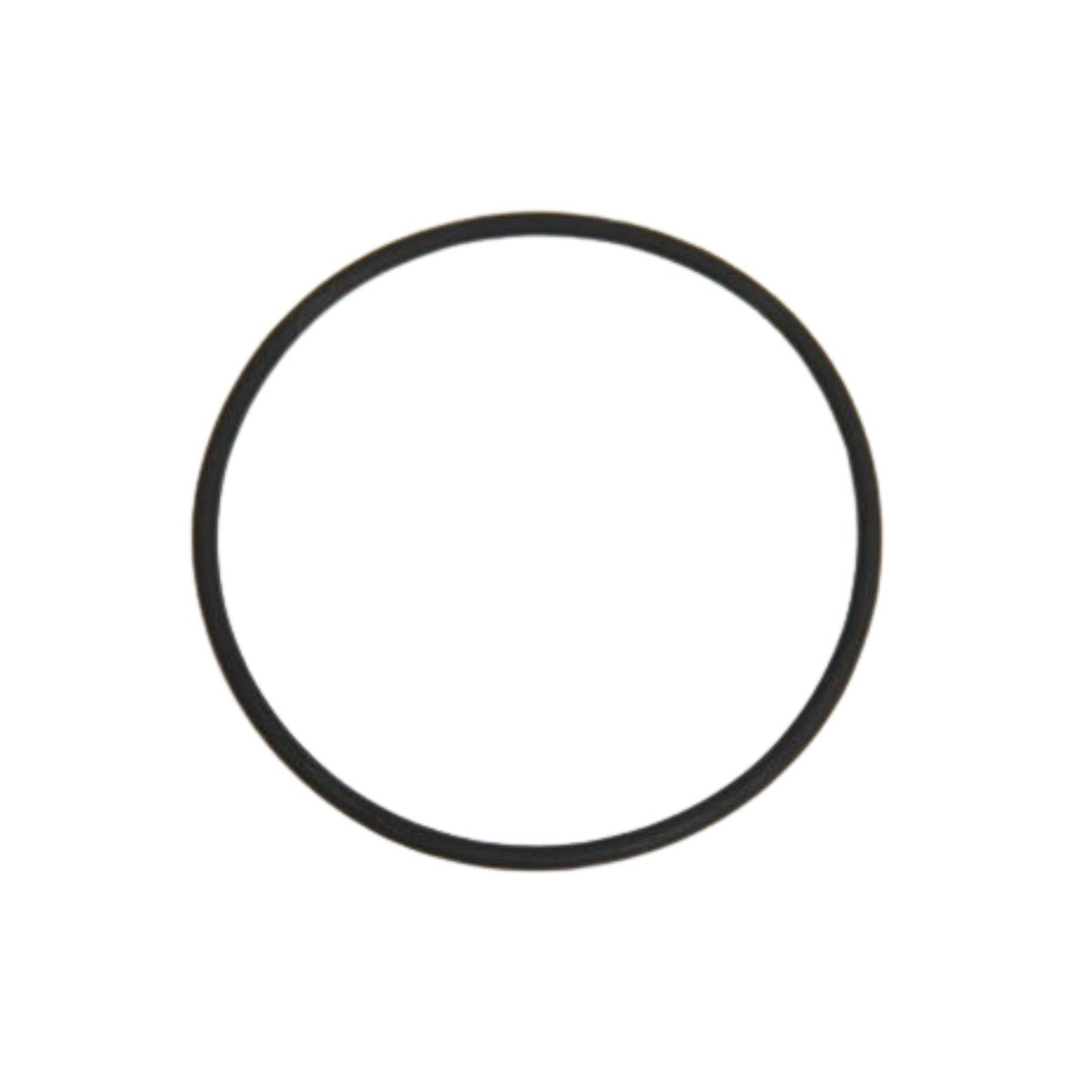 Imagem do produto ANEL O-RING DA BOMBA DAGUA